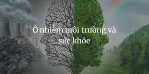 O nhiem moi truong va suc khoe (2)