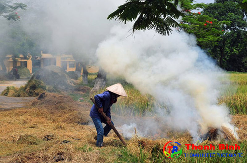 o-nhiem-moi-truong-khong-khi-do-dot-rom-ra-rac