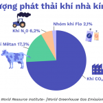 C0_1-Details-1-Emissions_By_Greenhouse_Gas