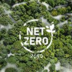 net-zero-768x432