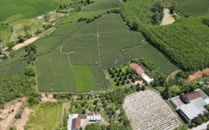 ong-vo-van-dong-5-2186-1725457803