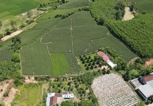 ong-vo-van-dong-5-2186-1725457803